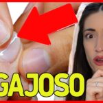 Cuánto tiempo se deja la base en la lámpara