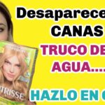 Alternativas naturales para cubrir canas sin tintes Alternativas naturales para cubrir canas sin tintes