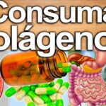 Conoce quiénes no deben tomar colágeno y mejora tu salud Conoce quiénes no deben tomar colágeno y mejora tu salud