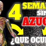 Consecuencias de no usar Primer: Protege tu piel ahora