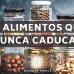 Productos Duraderos: La Mejor Inversión Para Tu Hogar Productos Duraderos: La Mejor Inversión Para Tu Hogar