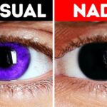 Secretos para resaltar tus ojos marrón oscuro en 5 pasos