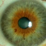 Secretos para realzar tus ojos verdes amarronados